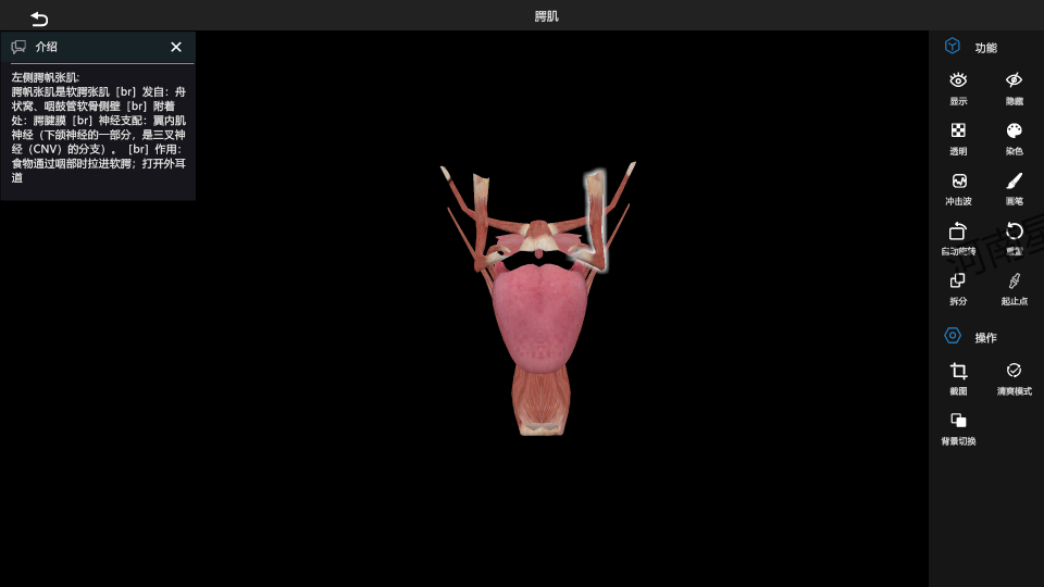 ֽ⹦�?1).png