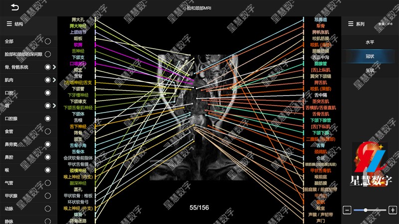 ͷ����MRI-��״