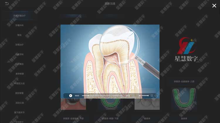 牙裂演变史 牙裂演变史